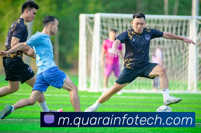 MKSports官方网站入口平台生态图